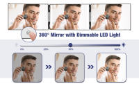 3 way mirror with lights