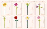 flower building set