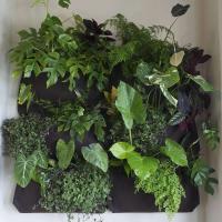 7 bolsas verticales, tela de fieltro colgando de la pared, jardín exterior ETA, contenedores para plantar verduras y flores - details 8
