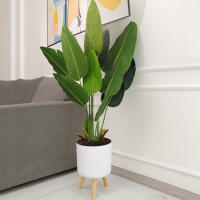 Sistema de drenaje de autorriego para plantas con patas de madera, maceta redonda de pie para pies, hierbas, bonsái para guardería, Moderno - details 4