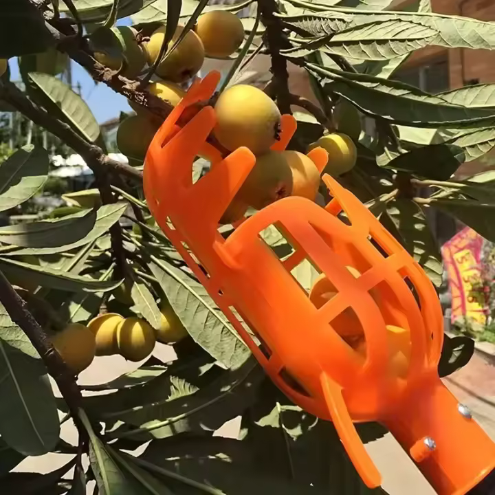 Cosechador de Frutas de Altura Herramienta de Jardín de Plástico para Melocotón, Ciruela, Jujube - 1