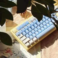 Teclas translúcidas azules de 164 teclas, PBT ABS, doble disparo, perfil de cereza, juego grande de teclas para teclado nical con diseño Alice - details 3