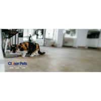 Pet Mate - Puerta de acceso “Pequeña” - details 0