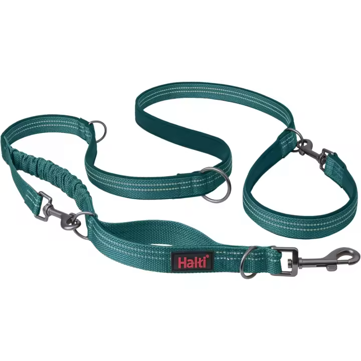 Correa Multifuncional para Perros HALTI Anatomy - Correa con Doble Enganche, Ideal para pasear y adiestrar Perros. Cómoda de sujetar, reflectante y ligera. Adecuado para Cachorros (Talla L, Gris) - 1