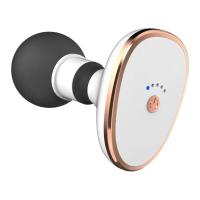 Mini masajeador portátil de mano con carga USB, masajeador de tejido profundo, relajación muscular para alivio del dolor, cuerpo, cuello, vibrador, Fitness - details 1