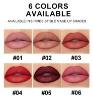 Set de Labial de Gloss de Tubo Cuadrado Lápiz Labial Mate 6 Piezas Duradero Impermeable - details 11