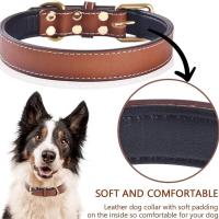 Collar acolchado cuero genuino perro, collares suaves fuertes, cómodos, lo mejor para perros de raza pequeña, mediana y grande, - details 2