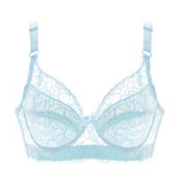 Seduce con Encaje y Látex Top de Lencería de Talla Grande con Hilo Interior - details 20