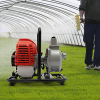 Bomba de Agua de Alta Potencia de 1400W Motor de Doble Troke con Cilindro Único - details 10