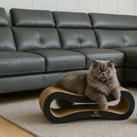 Cama rascadora para gatos PetCheer - details 7