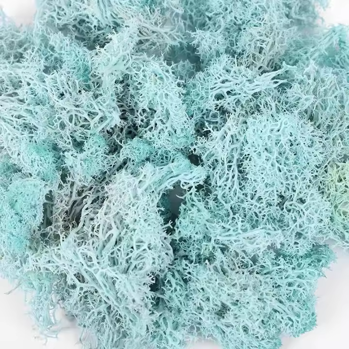 Plantas Artificiales de Colores Hierba Siempre Verde Ideal para Decoración de Hogar, Jardín, Habitación Flores Falsas - 1