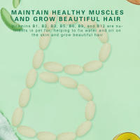 Suplemento nutritivo para perros de todas las edades, multivitamina Natural para cachorros y mascotas, vitamina y Mineral, diario - details 1