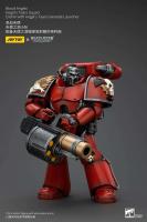 JOYTOY 40k 1/18 Figuras de acción Anime 12cm Blood Angels Angel's Tears Squad - details 0