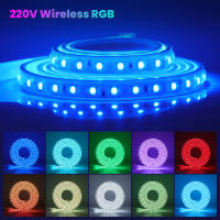 Tira de luces LED RGB SMD5050, cinta de diodo impermeable con Control remoto, lámpara de jardín al aire libre, decoración del hogar, 220V, 60Leds/m - details 3