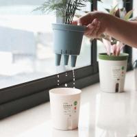 ETA de plástico hidropónico de riego de doble capa, ETA de absorción automática de agua para plantas - details 3