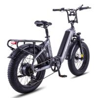 FAFREES F20 Master Bicicleta Eléctrica, Marco de Fibra de Carbono, Motor de 500W, Batería de 48V 22.5Ah, Neumáticos de 20*4,0 Pulgadas de Espesor, Frenos hidráulicos dobles, SHIMANO de 7 Velocidades, Pantalla LCD en color, Gris - details 1