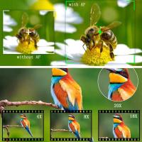 Cámara Digital 4K HD para fotografía y vídeo, autoenfoque, antivibración, 56MP, compacta, Vlogging, 3 pulgadas, temporizador - details 4