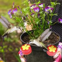 Alimentador de colibrí con Clip para el hogar, minibotella de agua de plástico para alimentación de aves, jardín, balcón, alimentador de aves al aire libre - details 8