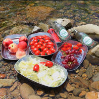 Plato de cena de hojalata de grado alimenticio para servir barbacoa, fácil de limpiar para acampar, Picnic al aire libre, barbacoa - details 5