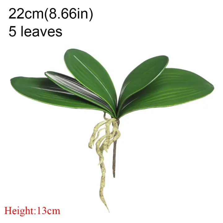 Hojas de orquídeas para decoración del hogar, flores decorativas, hojas de simulación, hierba de plástico, plantas artificiales, hoja de Phalaenopsis - 1