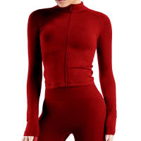 1 top de yoga para mujer con cremallera dinámica sin costuras, color sólido, ajustado, traje de fitness suave para mujer, top de yoga, gimnasio, correr, traje de ciclismo - details 2