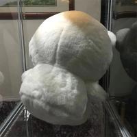 25CM Sanrio peluche Hello Kitty Cinnamoroll Kuromi Pochacco muñeco de peluche dibujos animados lindos juguetes niños regalos de cumpleaños - details 5