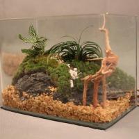 Decoración de Árbol de Tronco Natural Adorno de Acuario de Peces y Reptiles - details 6
