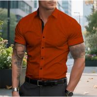 Camisa Casual de Manga Corta para Hombre Uso Diario, Comodidad, Talla Grande - details 1