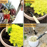 Kit de maceta de jardín de 13 piezas, pala de siembra artesanal, cuchara, cubo, suculentas, herramienta de plántulas, fertilizante bonsái, dispositivo de perforación - details 1