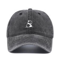 Gorra de béisbol con bordado de Panda para hombre y mujer, gorro con estampado de dibujos animados, estilo Hip Hop, Snapback - details 1