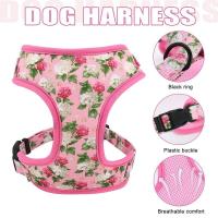 Conjunto de Collar de Bulldog Francés Correa de Nylon Estable con Estampado de Cachorros Gatos - details 9