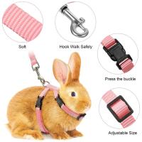 Set de Correa Ajustable de Nylon para Mascotas al Aire Libre Correa de Montura para Conejo Gato - details 2