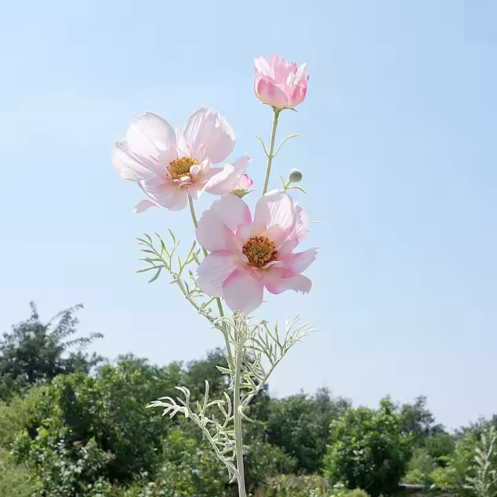 Rama de flor de Cosmos Artificial de lujo, simulación realista de plástico, crisantemo, elegante flor falsa hecha a mano - 1