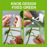 Clips De Fijación De Pared Para Trepar Plantas, Clips De Pared Para Enredaderas De Plantas, Gancho De Soporte Para Plantas De Pared, Clips De Enredadera De Soporte De Plantas Invisibles, Gancho Autoadhesivo Para Plantas Trepadoras De Interior Y Exterior - details 4