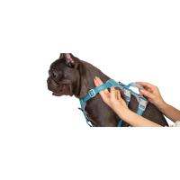 arnés para perros