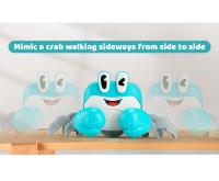 Crawling crab 2