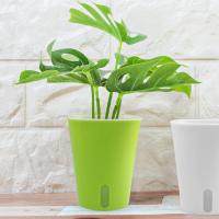 Maceta de riego automático para vivero, contenedor de cultivo, macetas de nivel de agua Visible con orificio de drenaje, herramienta de plantación de jardinería, 1 ud. - details 3