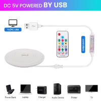 Luz de neón LED WS2812B RGB de 5V, cinta de píxeles flexible direccionable individualmente, Color de ensueño, tira de LED USB, lámpara de cuerda de silicona impermeable - details 1