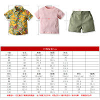 Ropa de verano para niños, camisas de manga corta estampadas, camisetas para bebés, conjunto informal de tres piezas, festival del Agua con salpicaduras - details 29