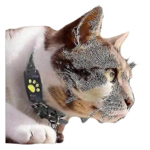 Rastreador GPS inteligente de collar para perros y gatos - 1