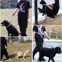 Correa elástica para perro, correa reflectante multifuncional a prueba de explosiones, adecuada para senderismo al aire libre, correr - details 9