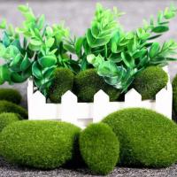 Mini colchón de musgo artificial, roca, vida eterna, plantas verdes, pastizales, decoración de jardín, artesanías PA, hoteles y hogares - details 11