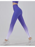 Pantalones de fitness graduales, cintura alta de cadera, ejercicio abdominal para correr, delgados y elásticos, pantalones de yoga para usar - details 2
