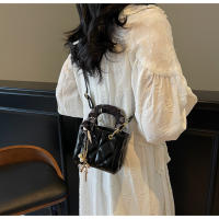 Bolso de Mano de Niche de Alta Gama Estilo Americano Mini Diana Bolso Nueva Moda Primavera-Verano2025 Bolsos y Organizadores de Maquillaje - details 13