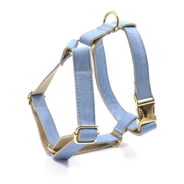 Perro Vaquero Azul Claro con nombre, Correa de collar personalizada Perros Pequeños, medianos y grandes, par, ARN - 1