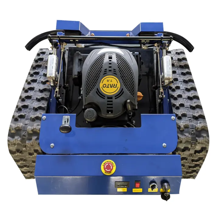 2005 Recién personalizado Diseño Entrega Cortacésped robótico para agricultura QL500D Cortacésped de gasolina para jardín - 1