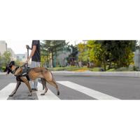EXCELENTE ELITE SPANKER Militar Táctica Espacio Gancho de Aluminio Clips Correa elástica para Perros Correa de cuerda elástica con 2 mangos de control (RGN) - details 0