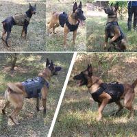 Correa para perros grandes, chaleco de entrenamiento para caminar, arnés y collar para perros de todas las razas, pastor alemán Malinois - details 16