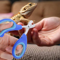 Cortauñas de acero inoxidable para mascotas para reptiles, pájaros y animales pequeños: mangos azules ergonómicos, bordes afilados para cortar metal, herramienta segura y cómoda para el cuidado de uñas para dragones barbudos, gatos, cobayas, perros, conej - details 5