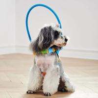 Collar Anticolisión para Mascotas Ayuda de Entrenamiento para Perros Adecuado para Perros Pequeños y Grandes Collares de Gato - details 1